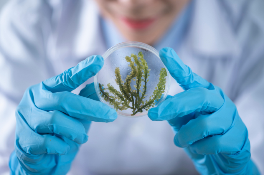 Et si on écoutait les scientifiques ?