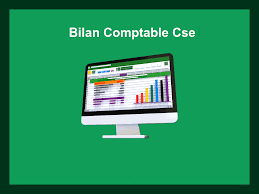 Bilan CSE